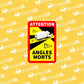 Lipdukas Akloji zona "ANGLES MORTS" vilkikui