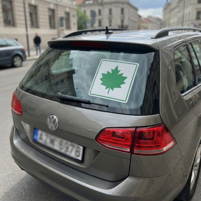 didelis-klevo-lapas-lipdukas-automobiliui