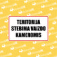 teritorija stebima vaizdo kameromis