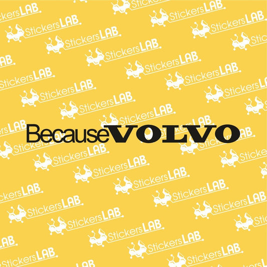 Volvo lipdukai